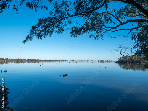 lake and trees