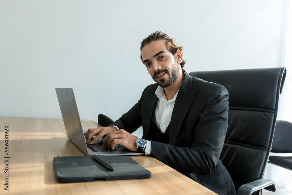 Business portrait. Smart businessman working in modern office. businessman  in office.