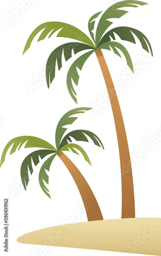 Coconut tree