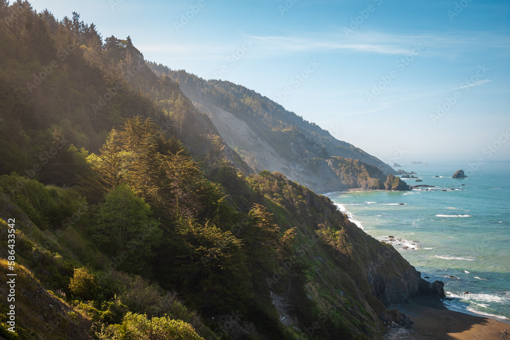 The Pacific Coast at Redwood National Park