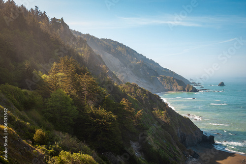The Pacific Coast at Redwood National Park