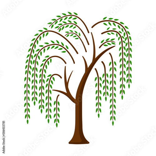Willow tree. Color icon with tree. Vector illustration isolated on white background. Element for logo