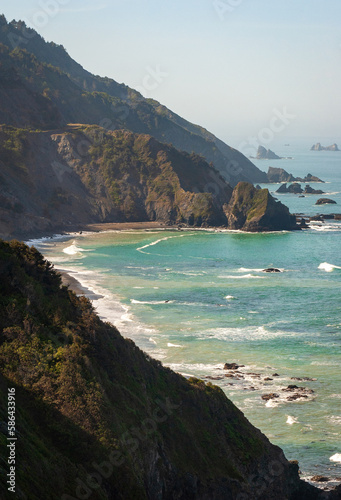 The Pacific Coast at Redwood National Park