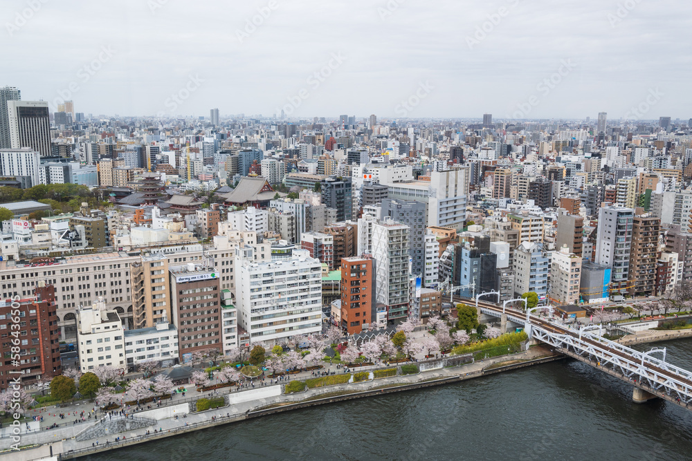 Naklejka premium 隅田川のほとり浅草の街並み
