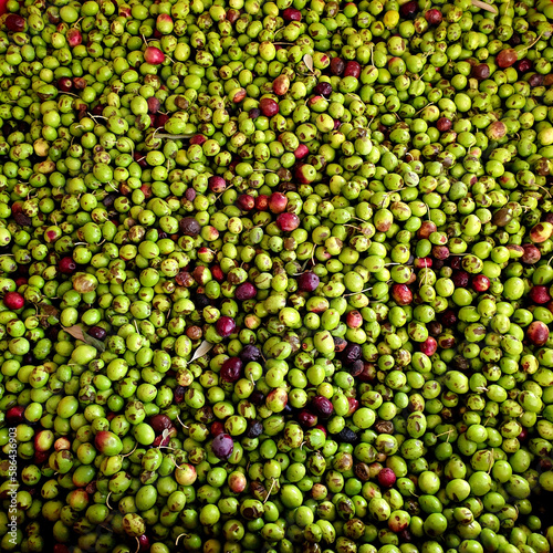 Full frame shot of fresh picked olives healthy food background