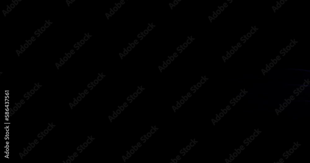 screen blue line animated background screen blue line animated background