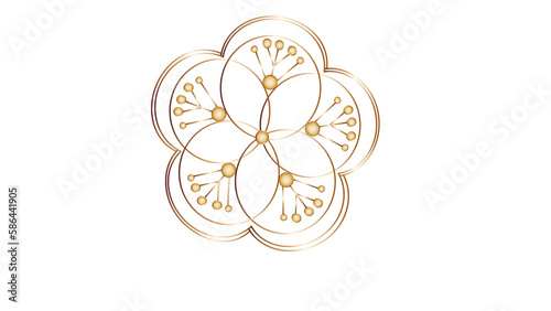 abstract floral mandala design