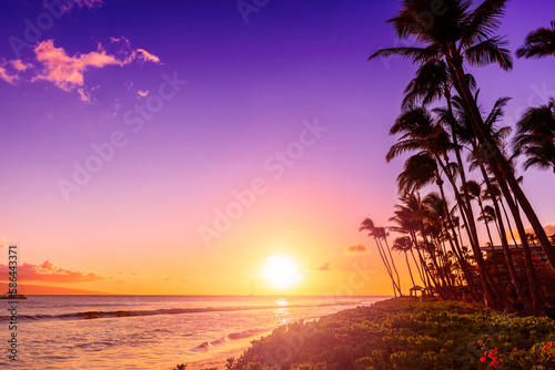 Silhouette of palm trees on sunset sky background © Mariusz Blach