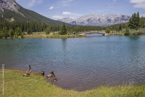 Canada landscape - Banff National Park, Alberta - summer travel to mountains, trails, coniferous forest and beautiful blue sky.