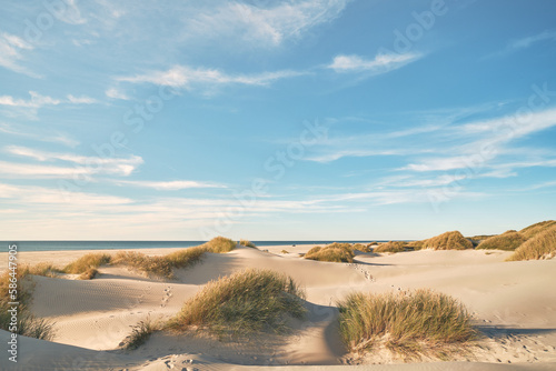 Fotografering Dunes at the beach at danish coast. High quality photo