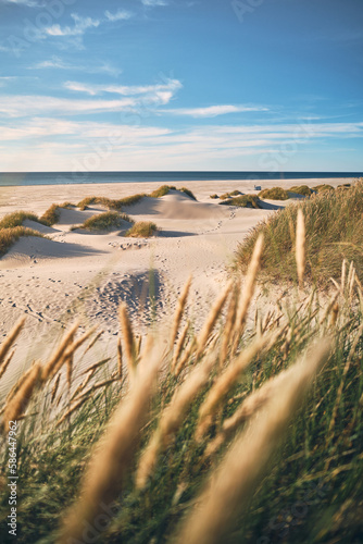 Coastal Landscape in northern Denmark. High quality photo #586447962