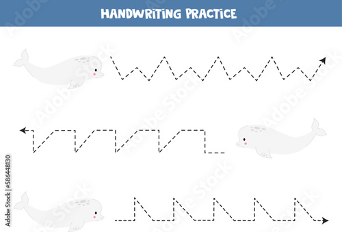 Tracing lines for kids. Cartoon cute beluga whale.