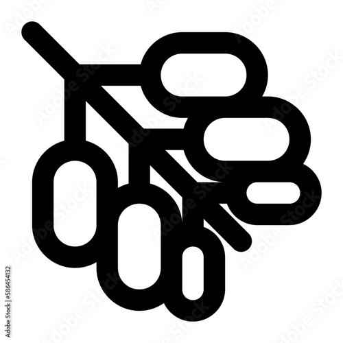 Dates fruit in outline icon. Ramadan, mubarak, islam, arab, dessert, iftar