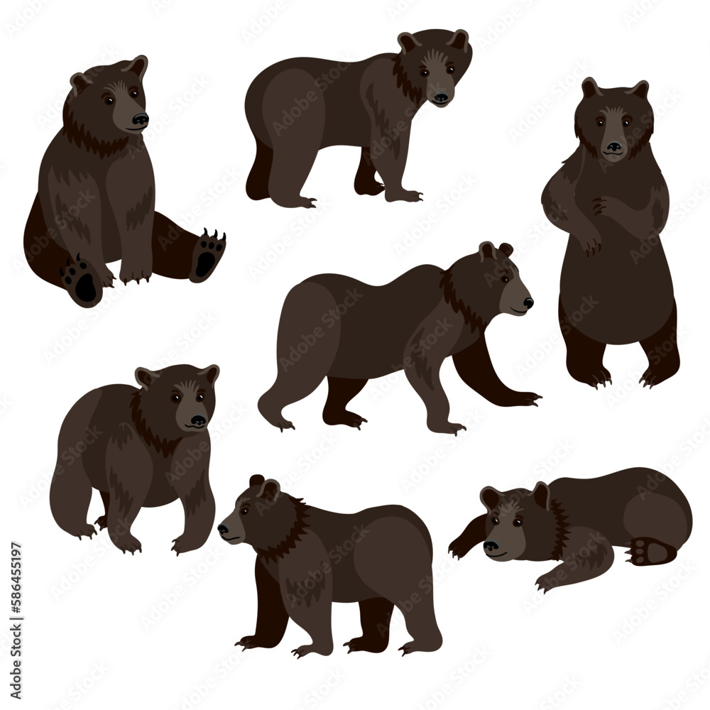 vector drawing bears, hand drawn animals isolated at white background , cartoon style characters