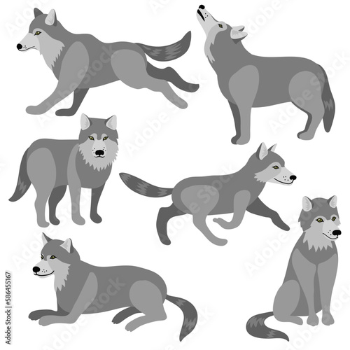 wolf, vector drawing wolves, hand drawn animals isolated at white background , cartoon style characters