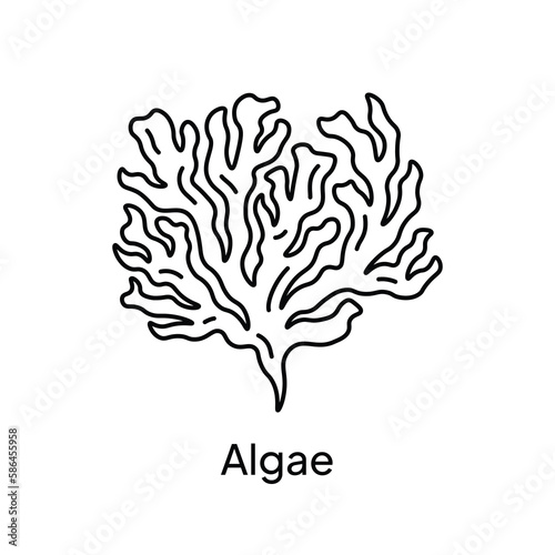 Algae Plant Natural Ingredient Illustration Design