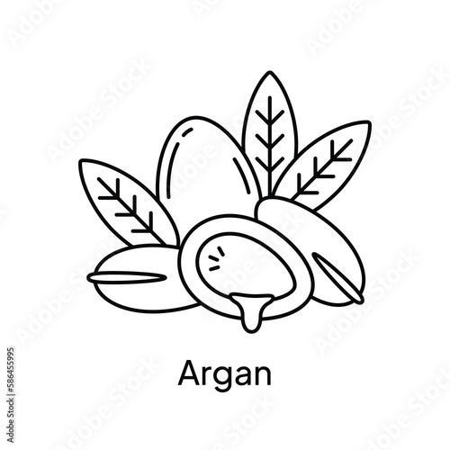 Argan Natural Essential Oil Illustration Design