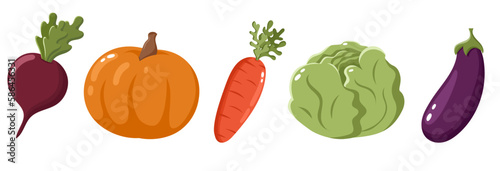 Set of bright colourful vegetables. Gardening and harvesting. Pumpkin, aubergine, carrot, cabbage, beat root. Vector illustration in cartoon style.