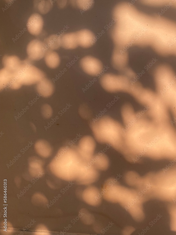 Leaves shadow background on concrete wall texture, leaves tree branches shade with sunlight	