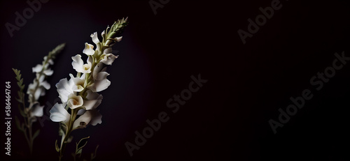 white foxglove flower in dark background generative ai
