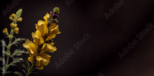yellow foxglove flower in black background generative ai