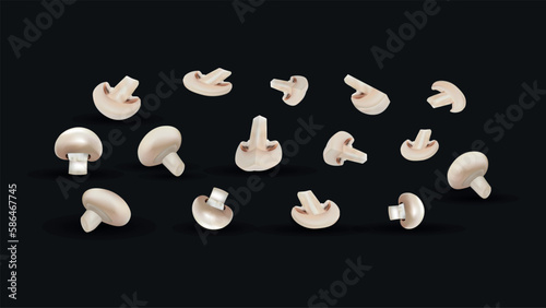 Vector champignon mushroom realistic illustration, whole, halved and sliced fungus