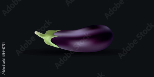 Eggplant realistic vector illustration on dark background