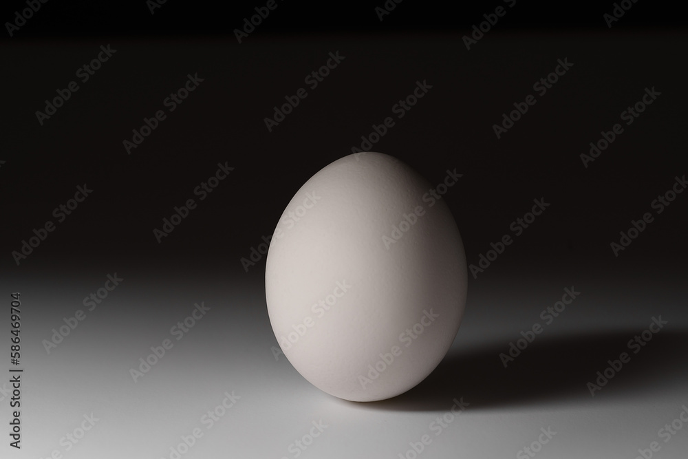 chicken egg close-up, the play of light and shadow