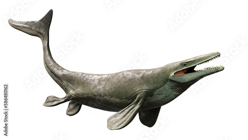 Obraz na płótnie Mosasaurus, extinct marine reptile from the Late Cretaceous, isolated on transparent background w salonie