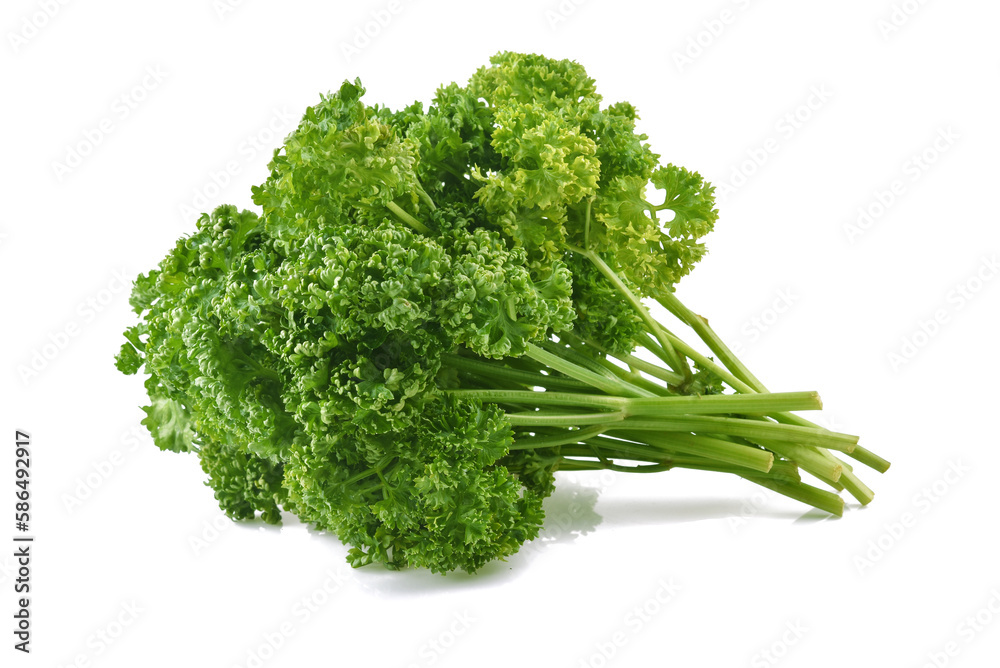 parsley isolated on white background parsley isolated on white background