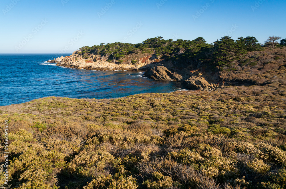 Rock Formations and Ocean at Point Lobos State Natural Reserve