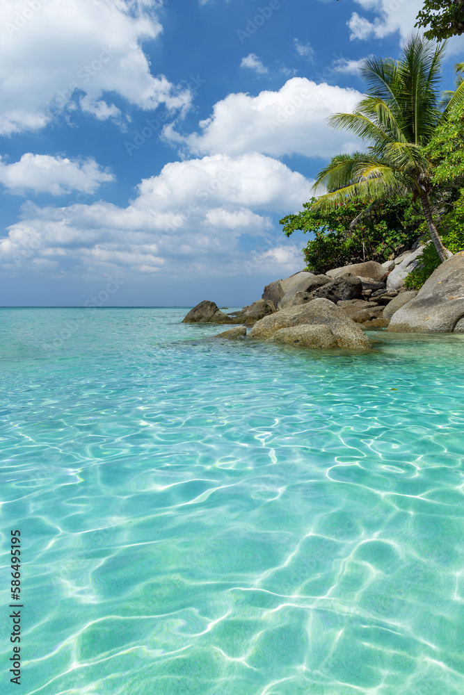 Fototapeta premium Tropical beach with palm trees