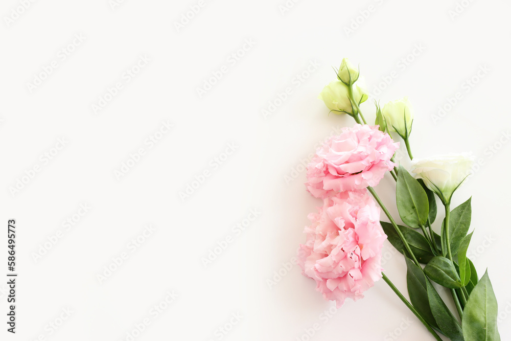 Top view image of delicate beautiful white and pink flowers background
