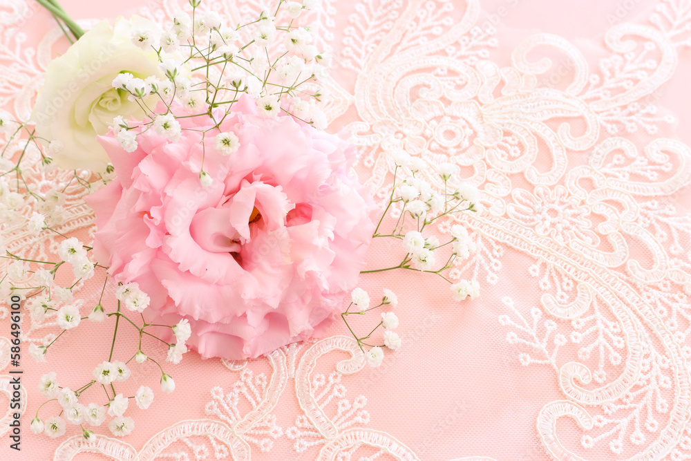 Close up image of delicate pink flowers over pastel background