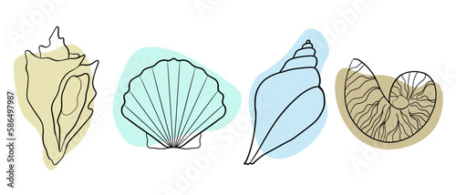 Vector set of seashells contour line art. Simple illustration, silhouette, isolated on white background.