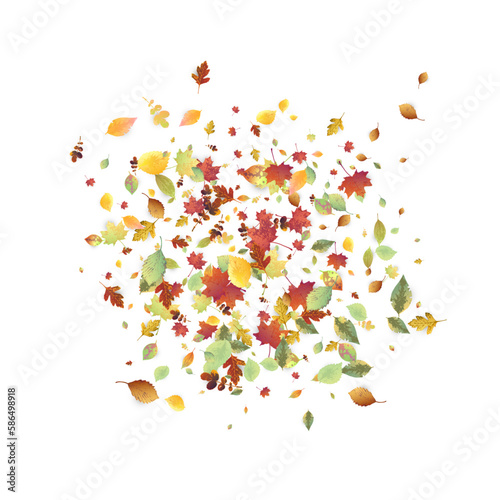 Leaves Falling Autumn Foliage Chaotic Leaf Flying