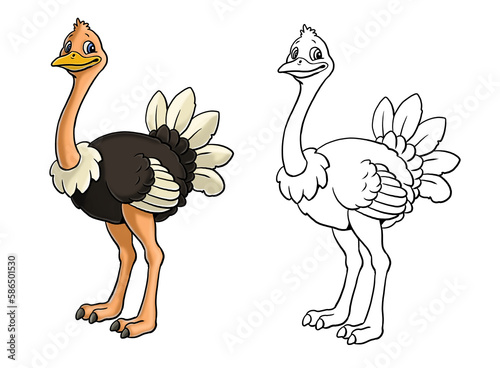Funny ostrich for coloring. Template for a coloring book with funny animals. Colouring page for kids.