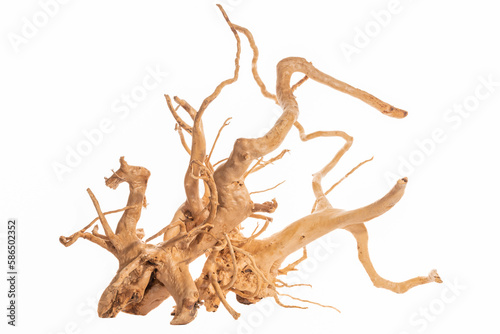 Red moor driftwood for aquarium aquascaping design isolated on the white background.