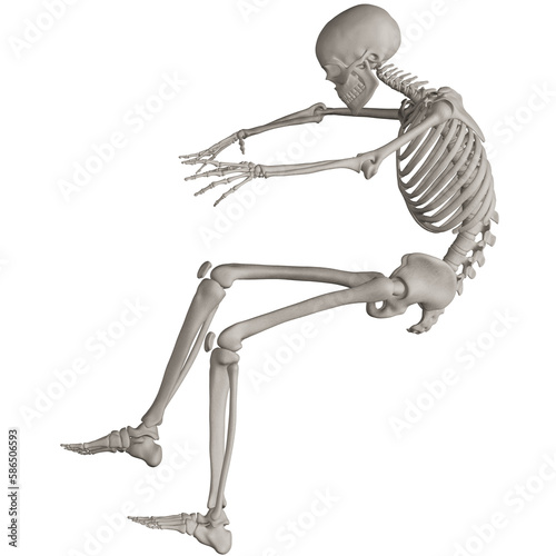 skeleton posing 3d render illustration with transparent background