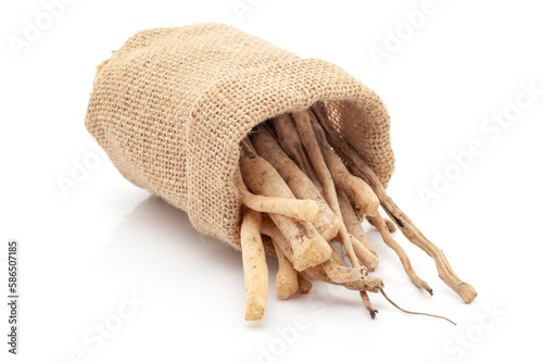 Close-up of Shatavari (Asparagus racemosus) roots, in laying jute bag over white background. photo