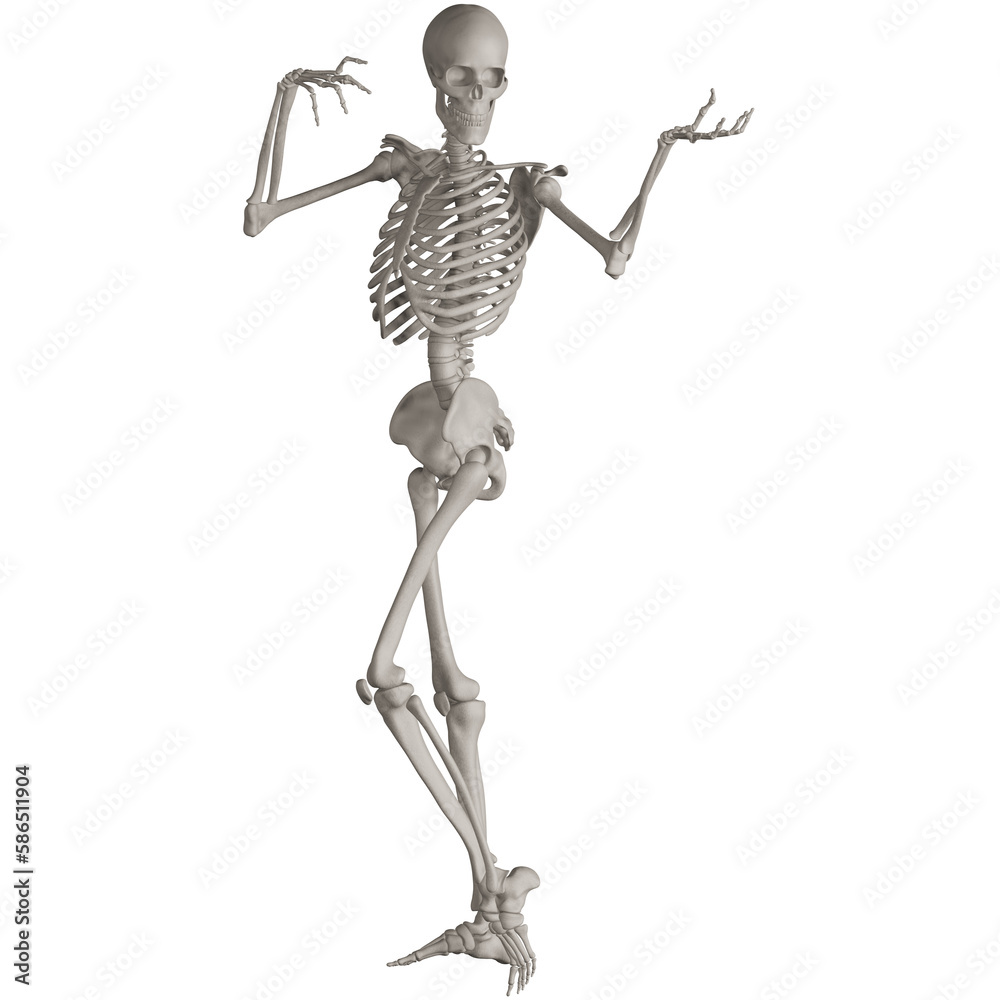 skeleton posing 3d render illustration with transparent background skeleton posing 3d render illustration with transparent background