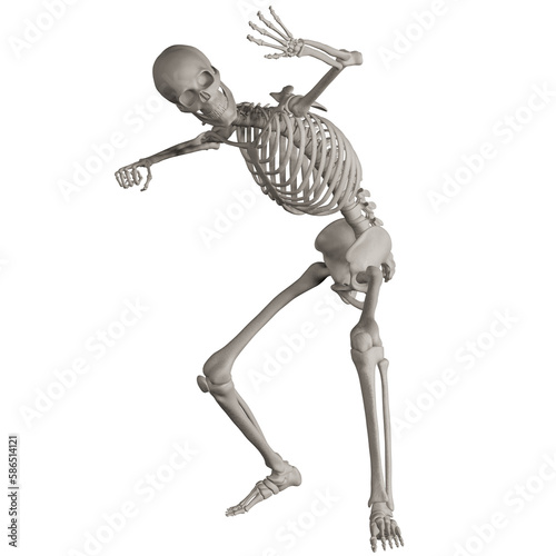 skeleton posing 3d render illustration with transparent background