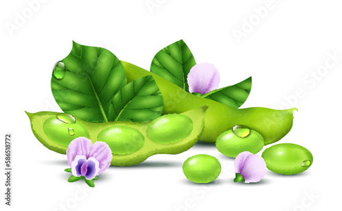 Realistic Soybean Concept