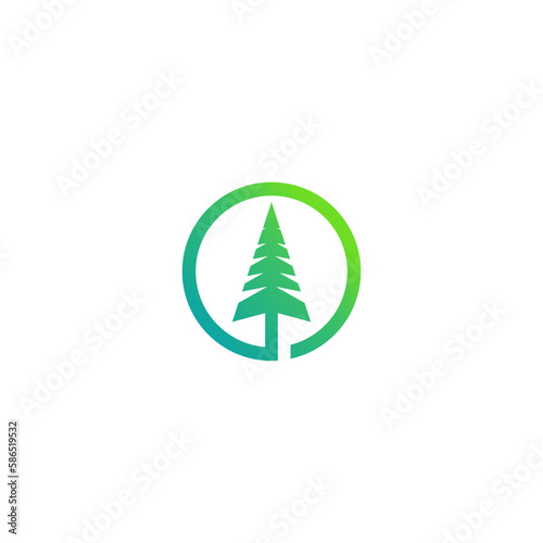 Pine Logo vector. Pine Tree Symbol. Nature Logo