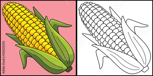 Corn Fruit Coloring Page Colored Illustration