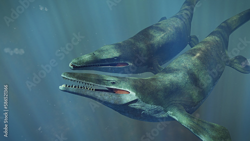 Mosasaurus couple, majestic marine reptiles swimming together in the Cretaceous ocean
 photo