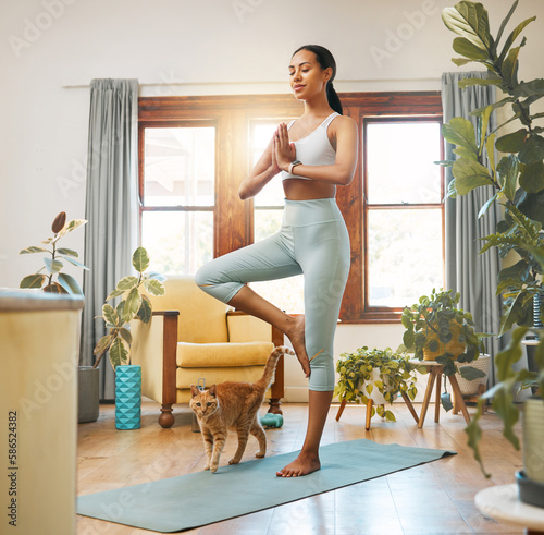 Yoga, fitness woman and cat for meditation, training and balance at home in living room, wellness and holistic health. Biracial person meditate, prayer or tree pose in pilates workout for healing photo