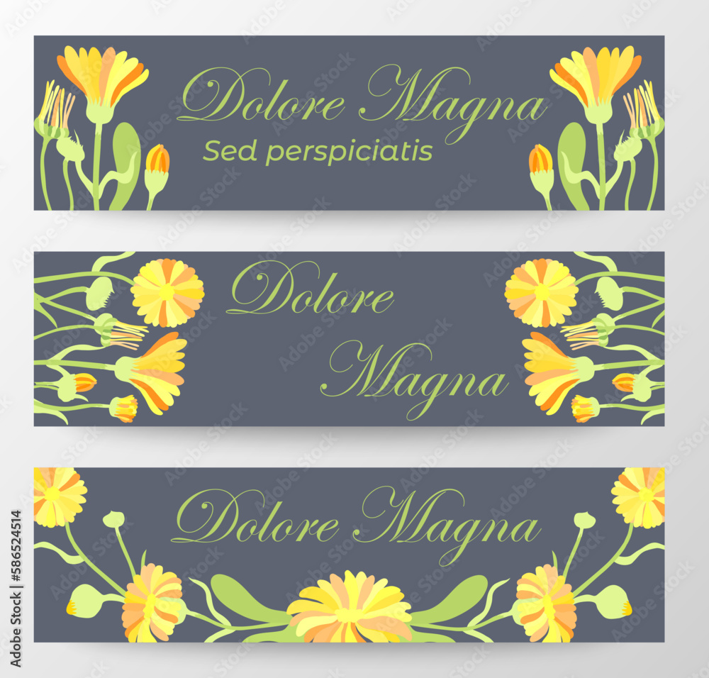 Banners with sample text and floral composition