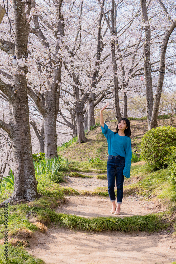 お花見で散歩する女性１０