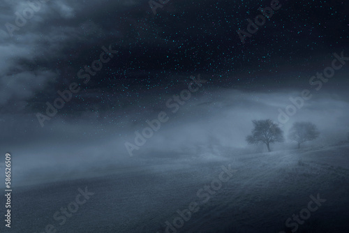dark night landscape with tree on misty hill